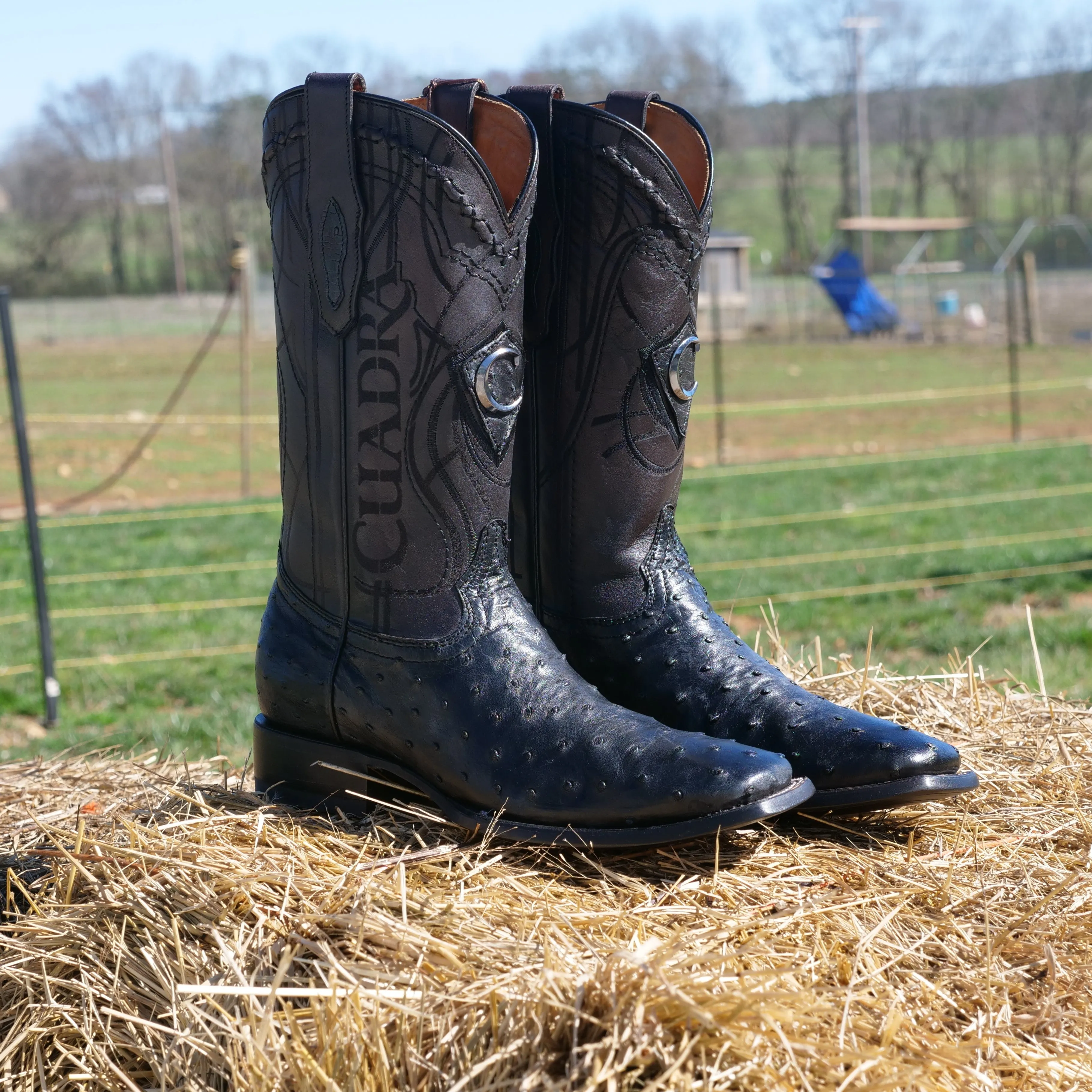 Men's Cuadra Ostrich Square Toe Boots