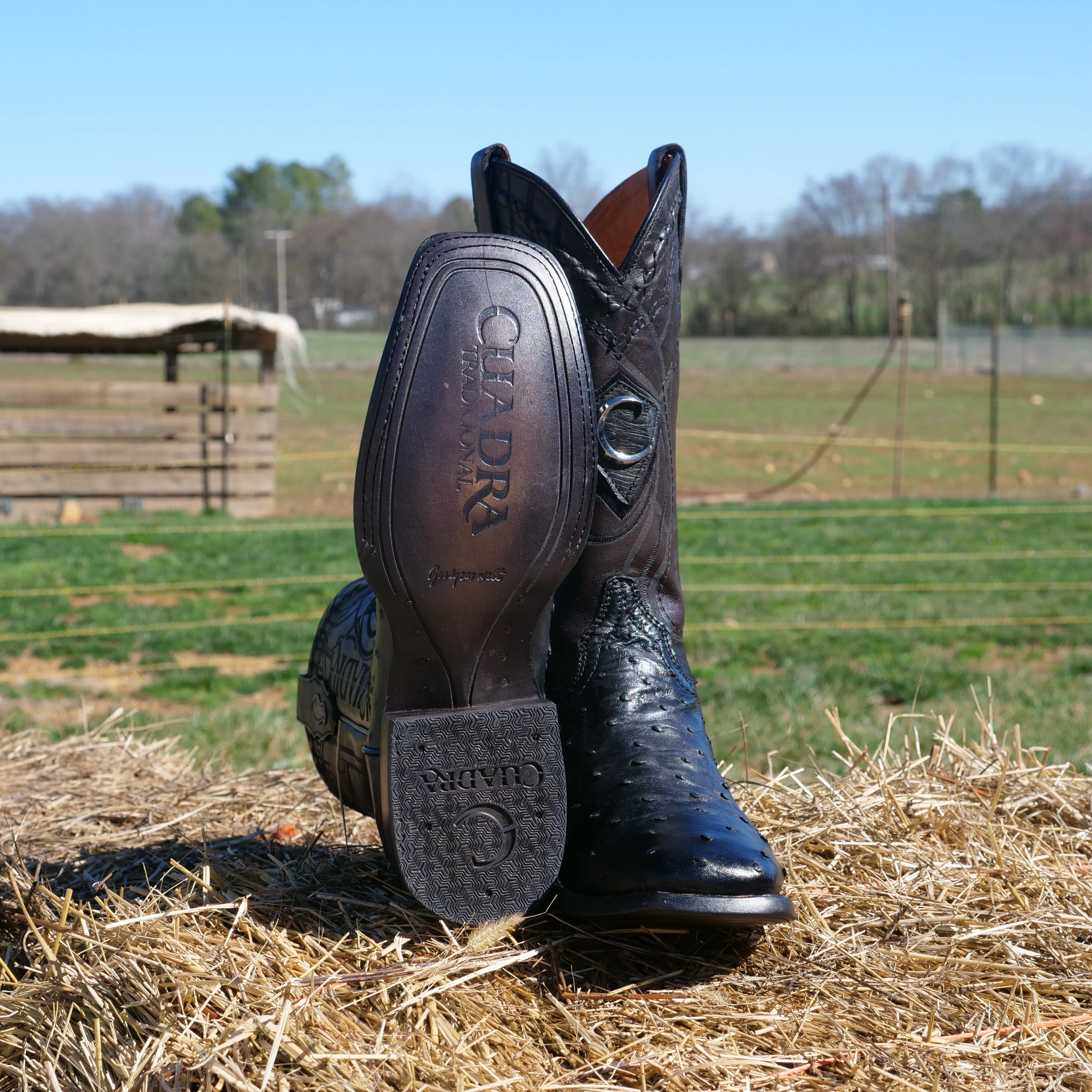 Men's Cuadra Ostrich Square Toe Boots